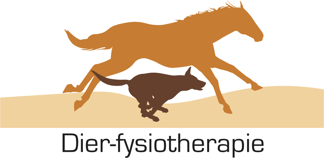 dier fysiotherapie logo